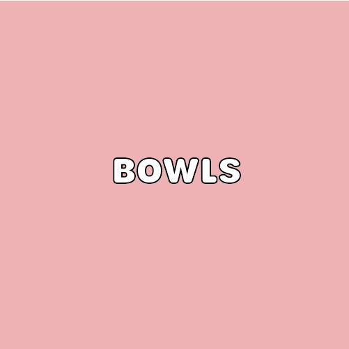 Dog Bowls + Feeders