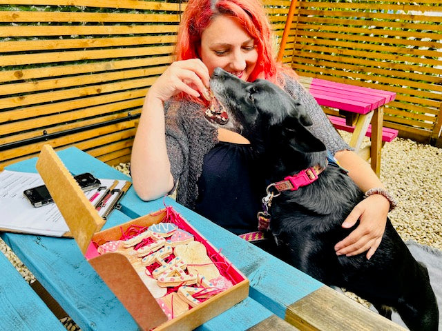 Dog Birthday Treat Box