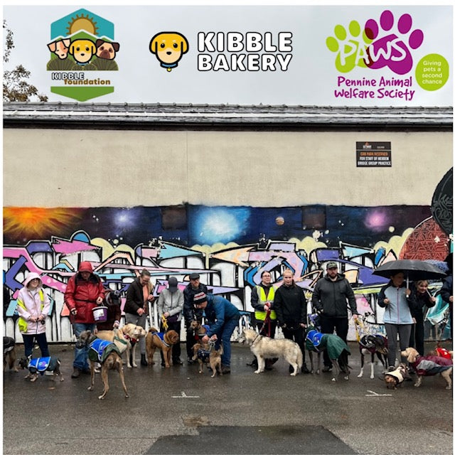 Hebden Bridge Charity Dog Walk Sunday 25th February 12pm