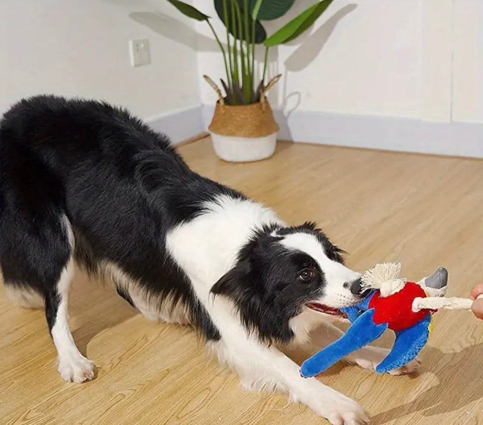 Parrot Rope Squeak Dog Toy