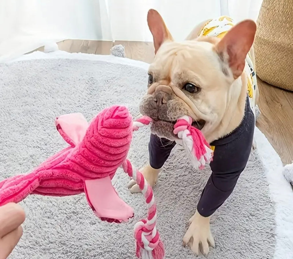 Flamingo Rope Squeak Dog Toy – Kibble Bakery Dog Spa