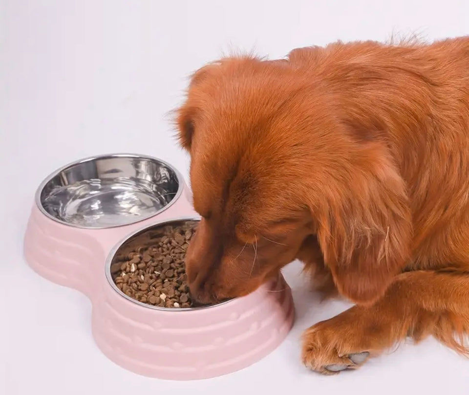 Stainless Steel Double Dog Bowls