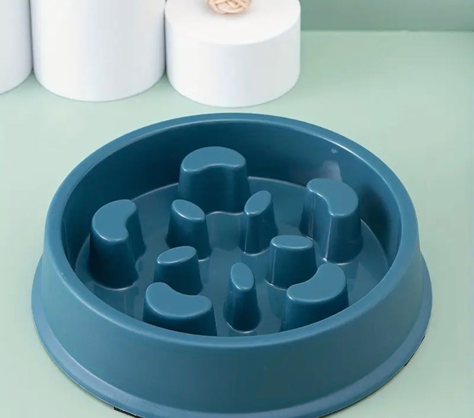 Slow Feeder Bowl