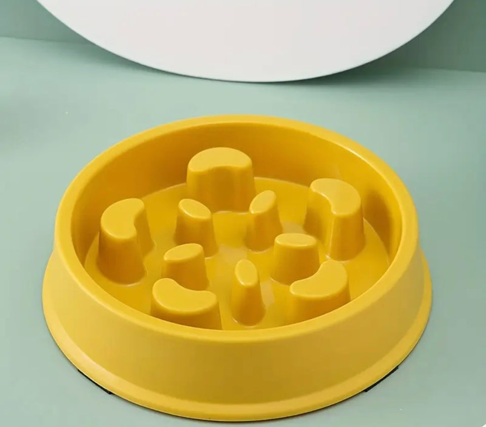 Slow Feeder Bowl