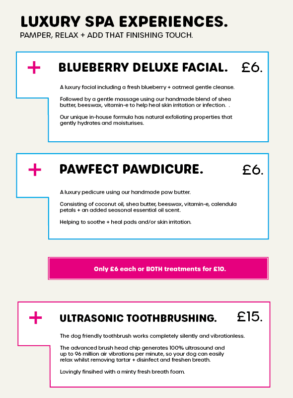 Kibble Dog Spa Booking
