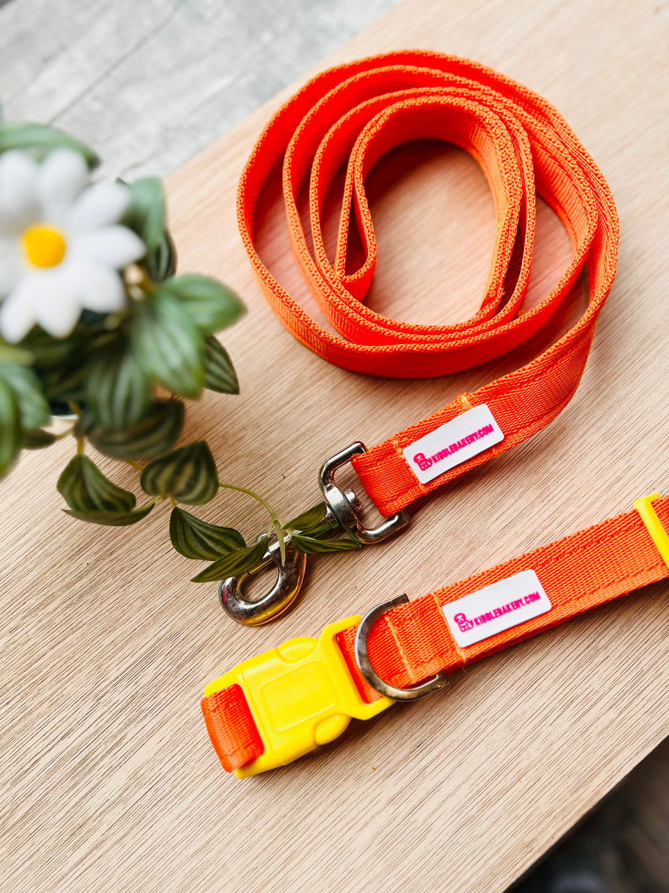 Kibble Bakery Collar - ORANGE, BLACK + PURPLE