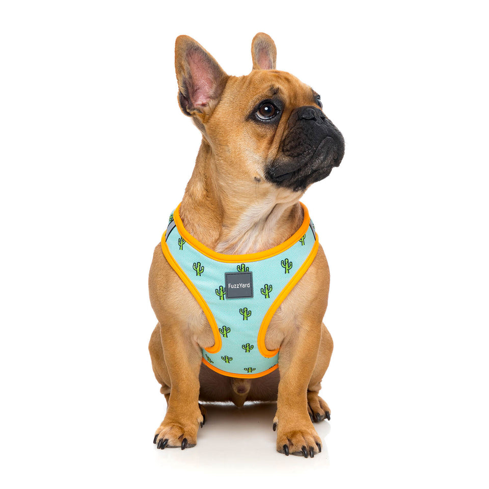 FuzzYard Tucson Step In Dog Harness