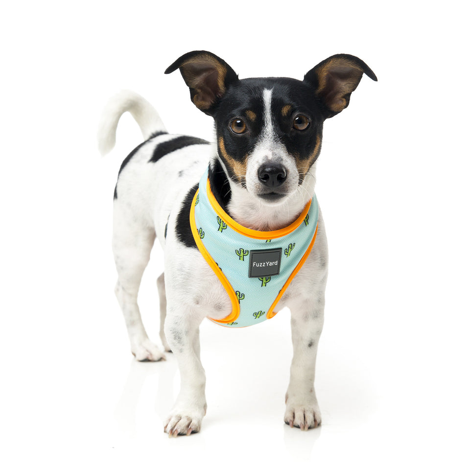 FuzzYard Tucson Step In Dog Harness