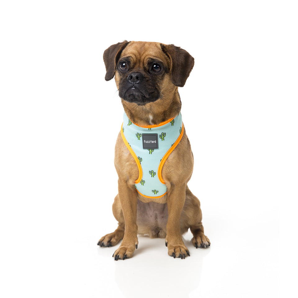FuzzYard Tucson Step In Dog Harness