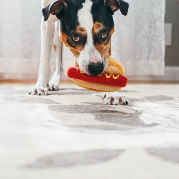 Hot sales dog play