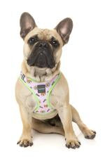 FuzzYard Sushiba Step In Dog Harness