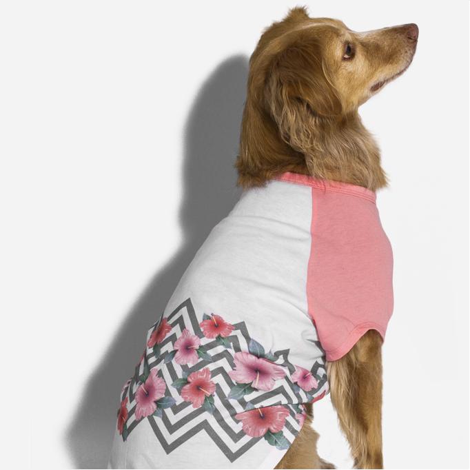 Dog birthday shirt petsmart clearance
