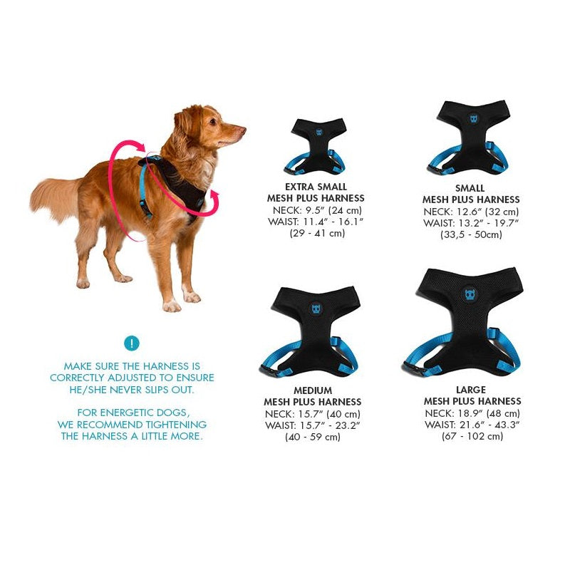 Zee Dog Memphis Mesh Harness