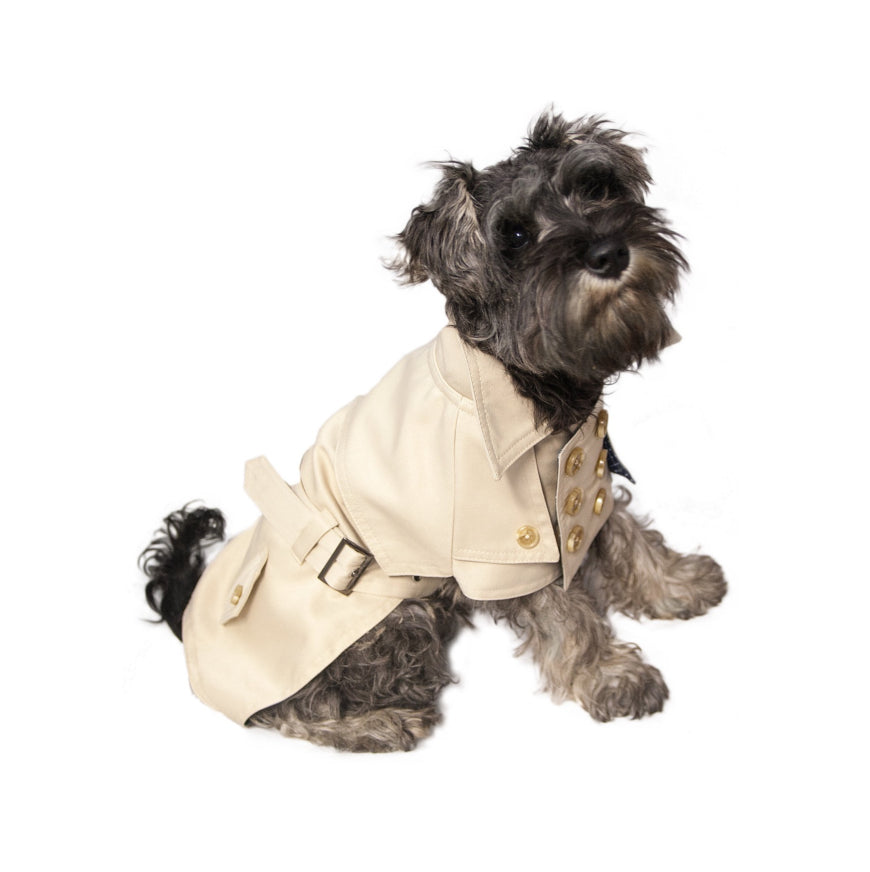 Sotnos Urban Cream Trenchcoat