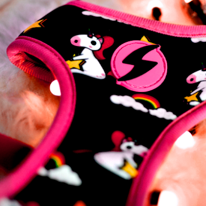 Dashi Unicorn Harness