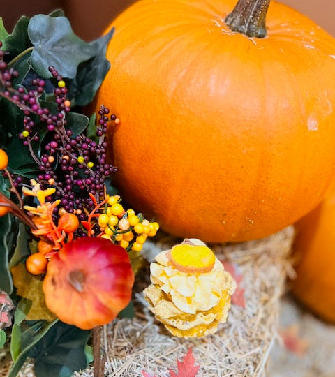 Autumn Adventures for Dogs: A Seasonal Guide to Wagging Tails + Cosy Moments