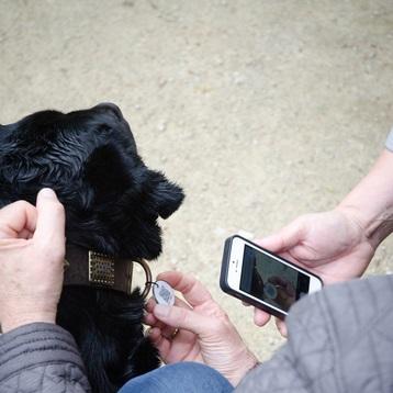 Dog tag camera discount
