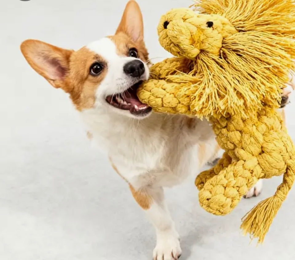 Lion Rope Dog Toy
