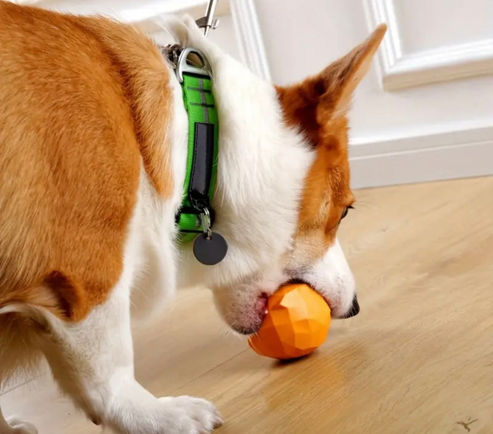 Orange Dog Treat Dispenser Toy