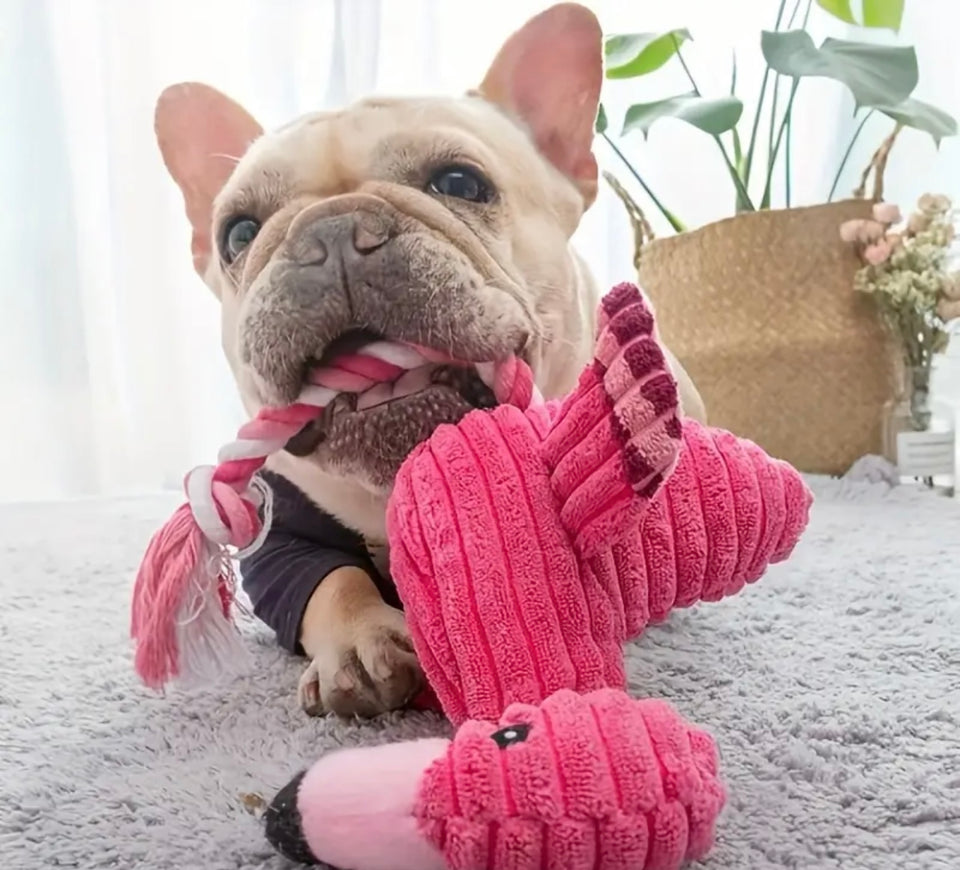 Flamingo Rope Squeak Dog Toy