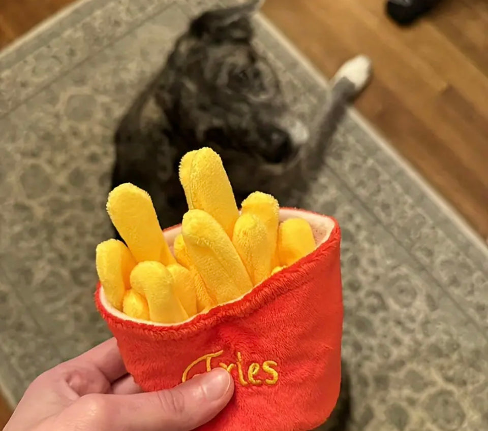 Fries Squeak Dog Toy