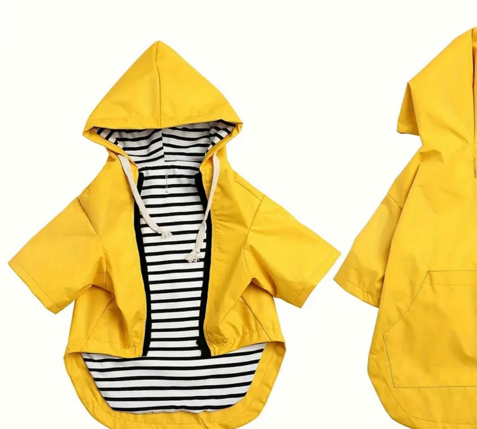 Dog Raincoat Yellow