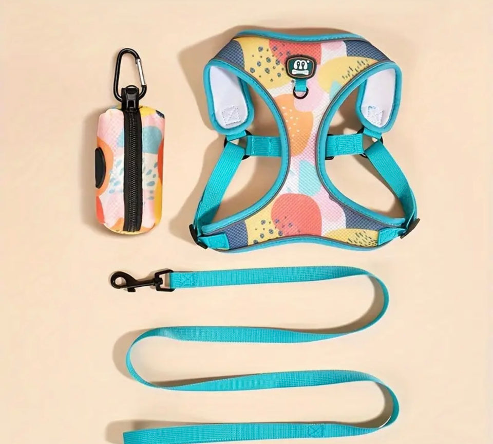 Colourful Harness and Lead Set