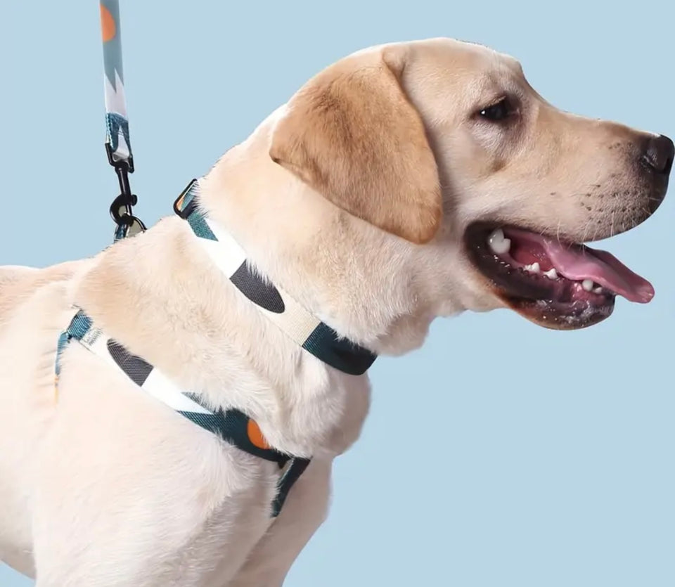 Geometric Design Dog Harness