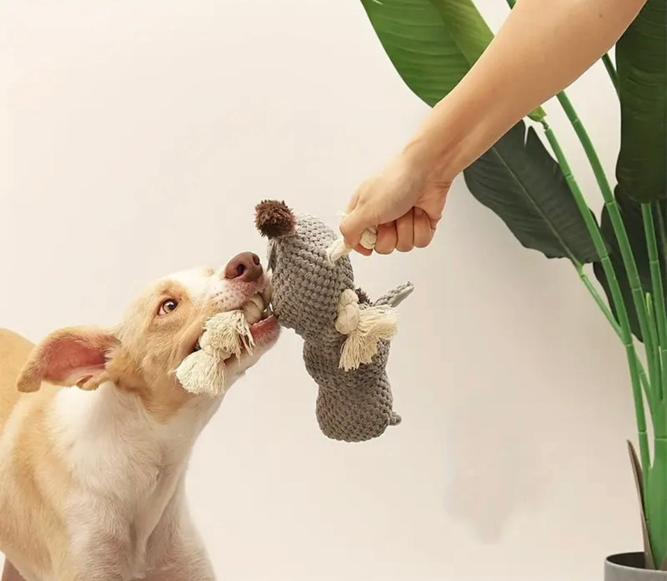 Donkey Rope Dog Toy