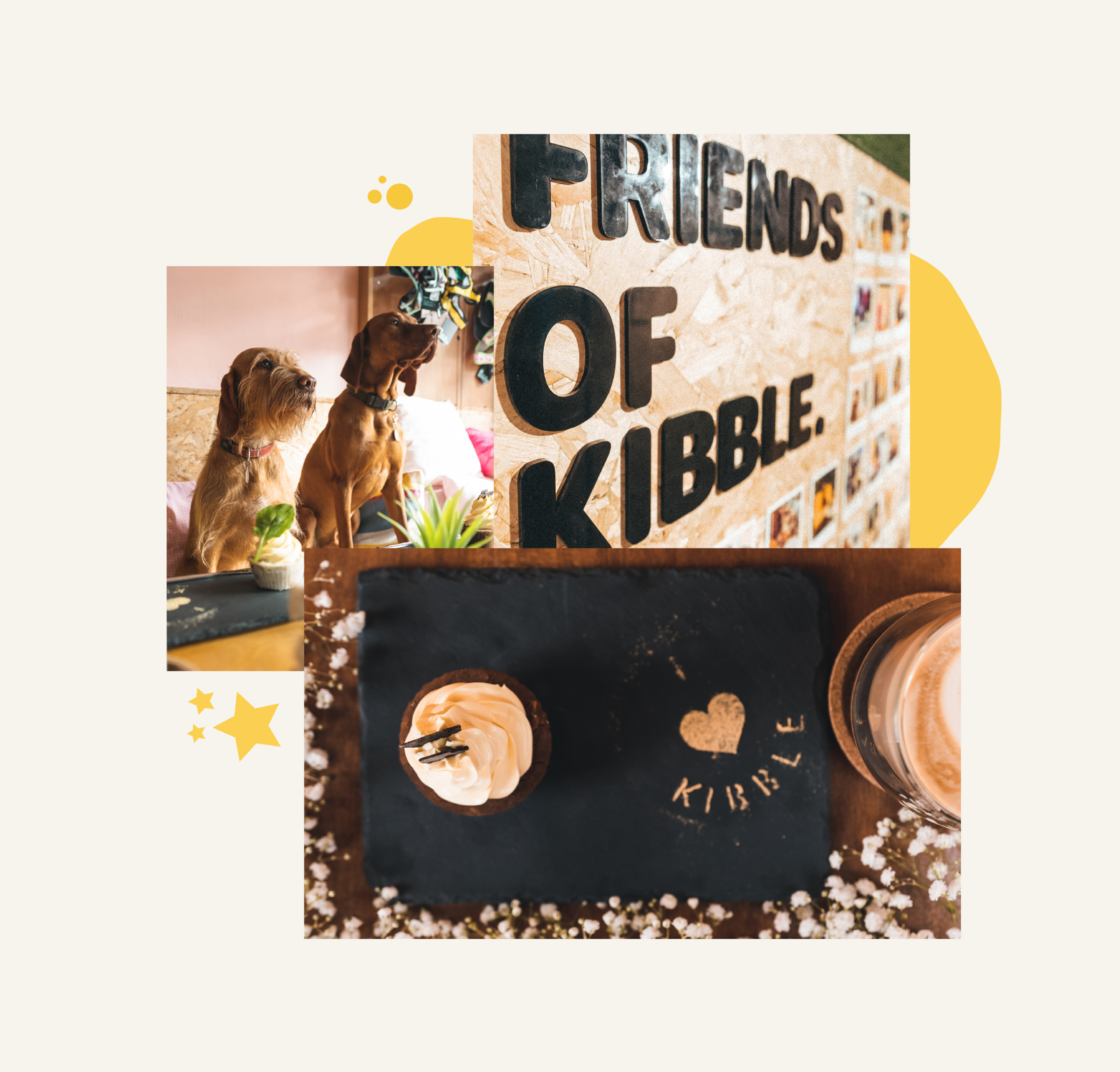 Kibble Bakery + Dog Spa: The Dog Friendly Coffee House + Dog Groomers
