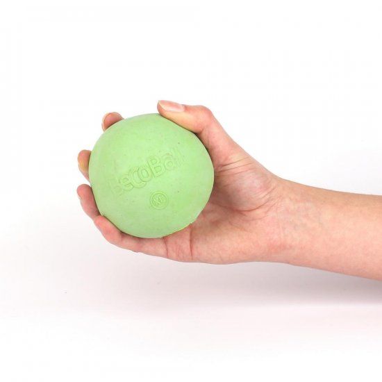 Beco Pets Beco Ball Dog Toy