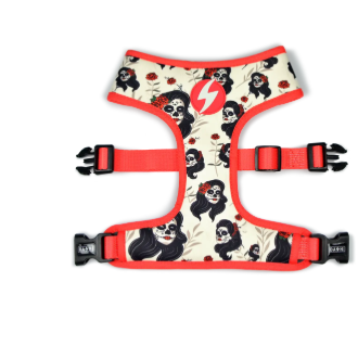 Dashi Calavera Harness