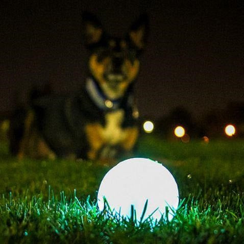 Chuckit Max Glow Ball Dog Toy