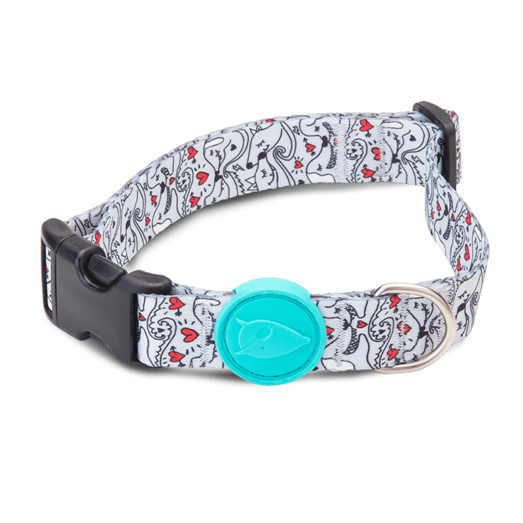 Morso Eskimo Kiss Dog Collar