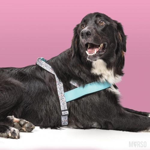 Morso Eskimo Kiss Norwegian Dog Harness